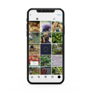 instagram-layout-design-CI-1