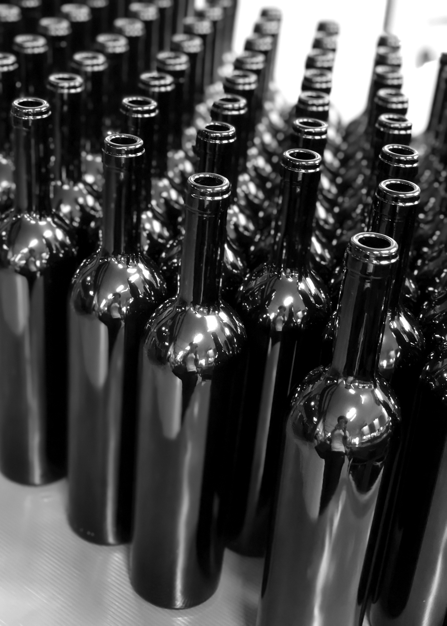 Empty wine bottles before bottling, Francesco Iandolo Winery production