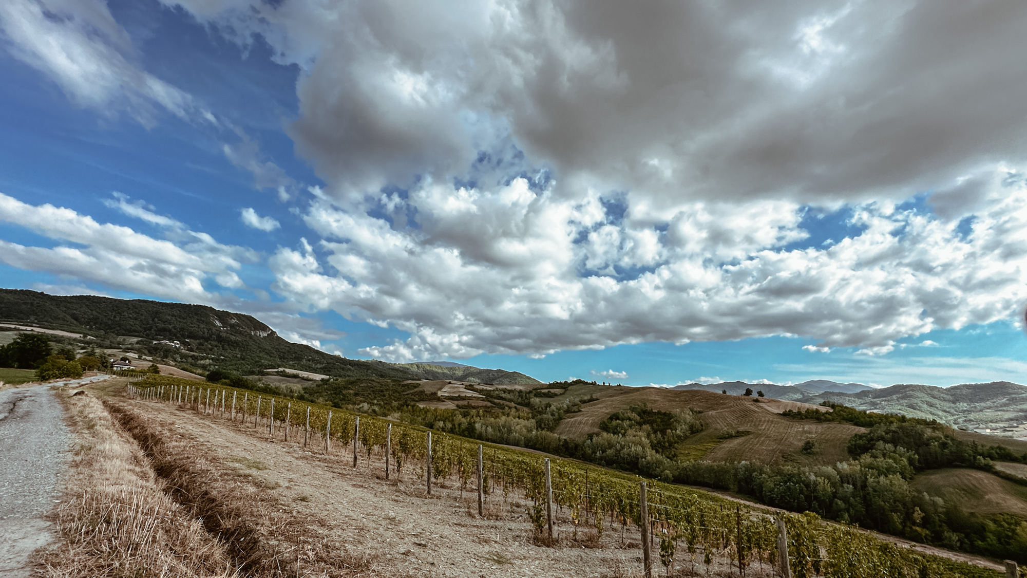 Colli Tortonesi vineyard landscape, photography by Sogand Nobahar for Francesco Iandolo Winery