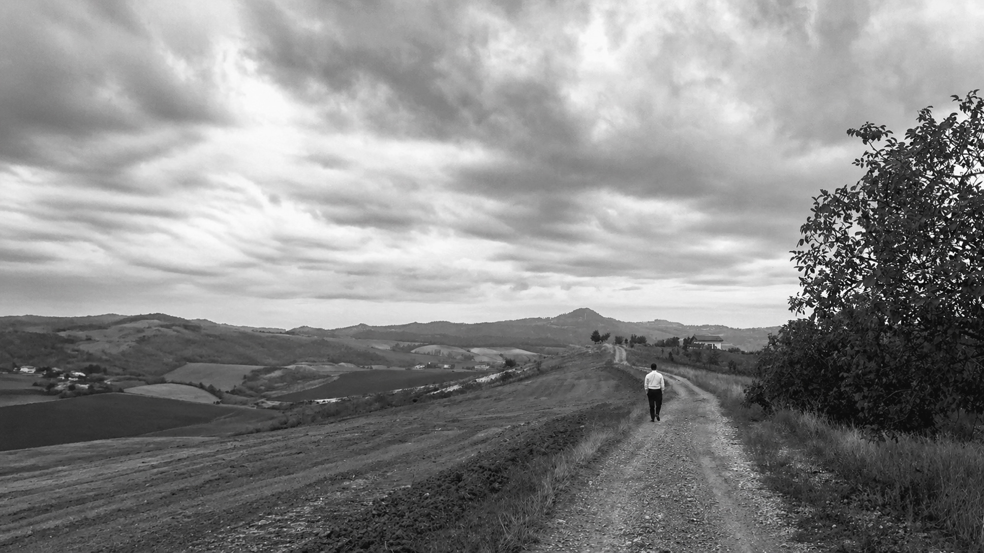 Founder walking through Colli Tortonesi empty land, brand photography by Sogand Nobahar