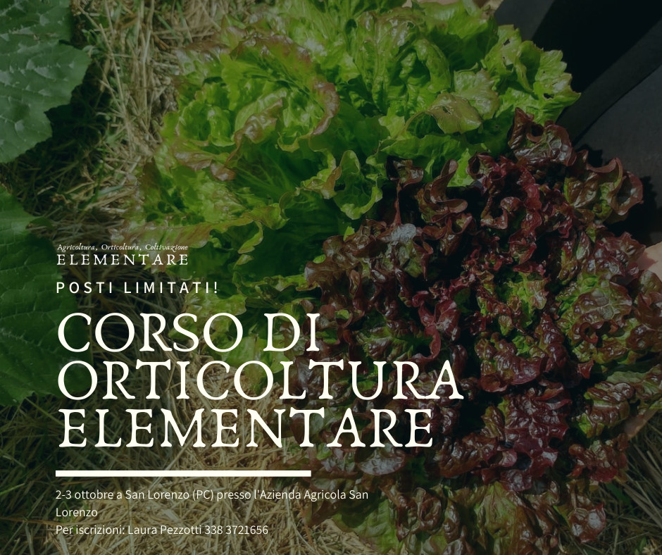 Course announcement card for a Gian Carlo Cappello orticoltura course, event template by Sogand Nobahar