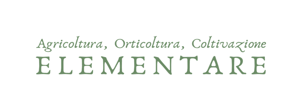 Coltivazione Elementare primary logotype in dark green, drawn letterforms by Sogand Nobahar