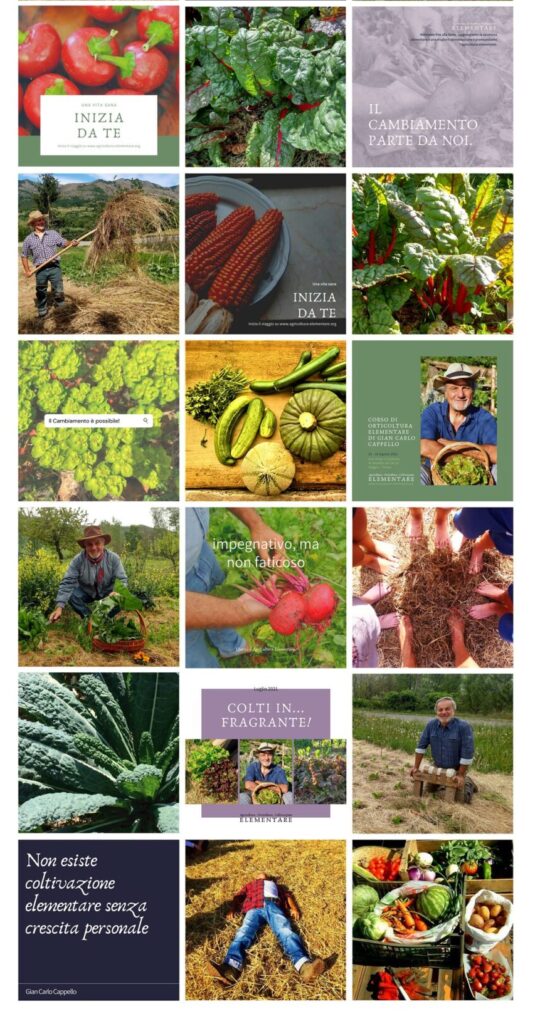 Instagram grid showing nine social template types for Coltivazione Elementare, content system by Sogand Nobahar