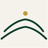 Wellington Advisory horizon star favicon in green on cream, by Sogand Nobahar