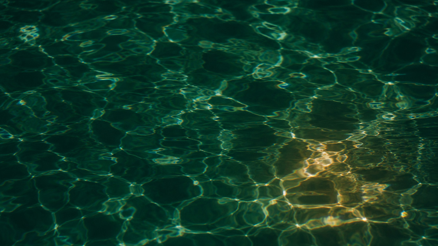 Sunlit green water surface, generated tourism sector imagery art-directed by Sogand Nobahar